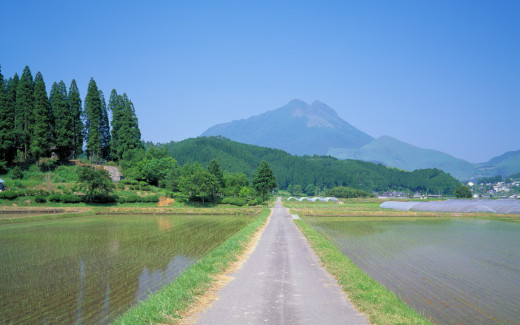 475633 (a): :1440x900